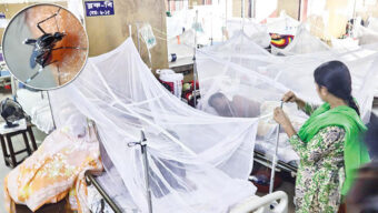 একদিনে ডেঙ্গু আক্রান্ত হয়ে হাসপাতালে ভর্তি ৮০