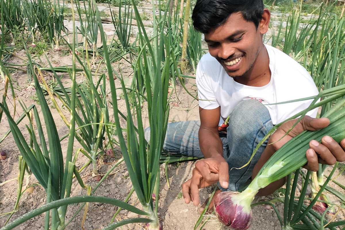 গ্রীষ্মকালীন পেঁয়াজ চাষে কৃষকের সফলতা