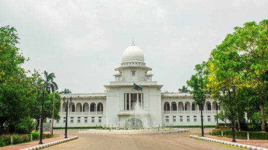 গাছ কাটতে লাগবে অনুমতি: হাইকোর্টের রায়