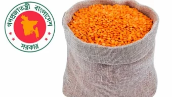 ৯৭ টাকা ৯২ পয়সা দরে ১০ হাজার টন মসুর ডাল কিনবে সরকার