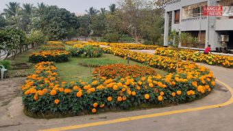 ফুলে ফুলে শোভিত খুবি ক্যাম্পাস, শিক্ষক-শিক্ষার্থীদের প্রাণে বসন্তের উচ্ছ্বাস