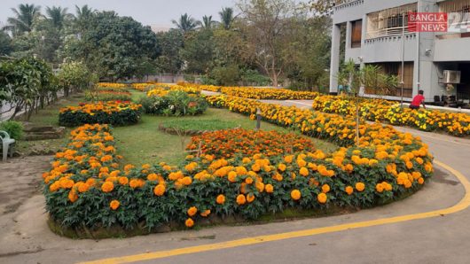 ফুলে ফুলে শোভিত খুবি ক্যাম্পাস, শিক্ষক-শিক্ষার্থীদের প্রাণে বসন্তের উচ্ছ্বাস