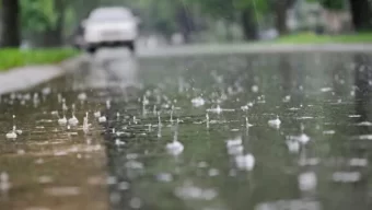বিভিন্ন জেলায় বজ্রসহ বৃষ্টির পূর্বাভাস