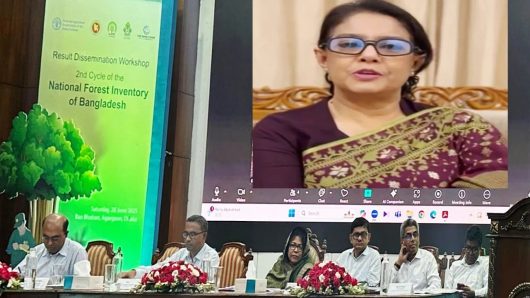 বন ও প্রাকৃতিক সম্পদের ব্যবস্থাপনায় সকলের অংশগ্রহণ জরুরি: পরিবেশ উপদেষ্টা