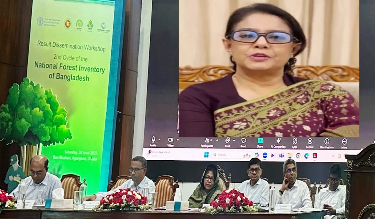 বন ও প্রাকৃতিক সম্পদের ব্যবস্থাপনায় সকলের অংশগ্রহণ জরুরি: পরিবেশ উপদেষ্টা