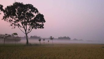 দেশের দুই বিভাগে কমবে দিনের তাপমাত্রা, বাড়তে পারে অন্যত্র
