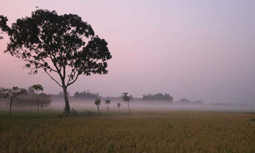 দেশের দুই বিভাগে কমবে দিনের তাপমাত্রা, বাড়তে পারে অন্যত্র