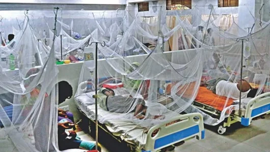 ডেঙ্গুতে প্রাণ গেল আরো ৩ জনের