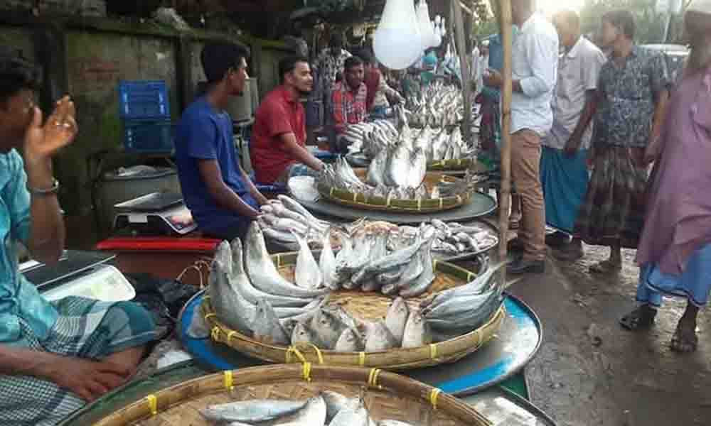 ভরা মৌসুমেও মেঘনার ইলিশের দাম আকাশচুম্বী