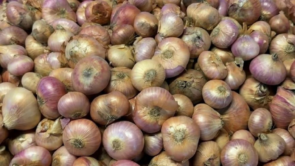 হিলি বন্দর দিয়ে ১৫০ টন পেঁয়াজ আমদানির অনুমতি