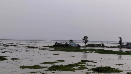 বিপৎসীমা অতিক্রম করেছে তিস্তার পানি, লোকালয় প্লাবিত