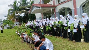 চৌদ্দগ্রাম উপজেলা প্রশাসন বৃক্ষরোপণ কর্মসূচি