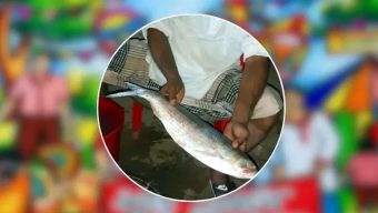 সমীক্ষা ছাড়াই চলছে ২৭৬ কোটি টাকার ইলিশ প্রকল্প