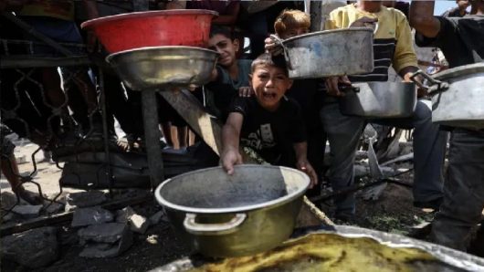 ইসরাইলি হামলায় গাজায় নিহত ৫১ ফিলিস্তিনি, অনাহারে মৃত্যু ১০ জনের