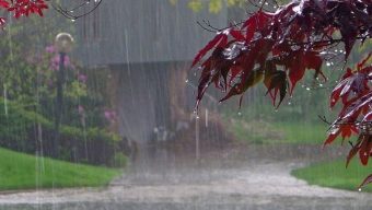 ঢাকাসহ সারা দেশে ঝড়বৃষ্টি ও তাপমাত্রা নিয়ে নতুন বার্তা দিল আবহাওয়া অফিস