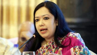 দেশে বিনিয়োগ কমছে, মব বাড়ছে : রুমিন ফারহানা