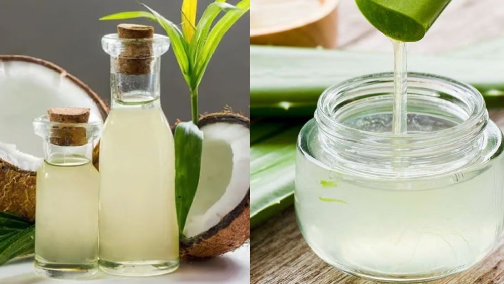 সানস্ক্রিনের বদলে নারিকেল তেল