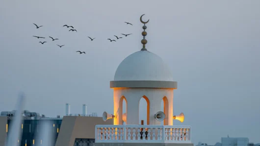 কেউ মারা গেলে যা পড়া সুন্নত