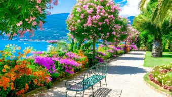 চারিত্রিক উৎকর্ষ সব কল্যাণের উৎস