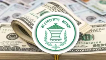 ১১ দিনেই রেমিট্যান্স এলো ১২ হাজার ২৪ কোটি টাকা