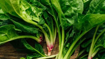 পালংশাকের পুষ্টিগুণ