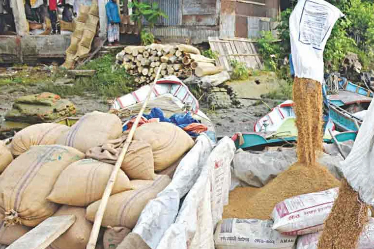 এ বছর আমন মৌসুমে ৩৪ টাকায় ধান, ৪৯ টাকায় আতপ চাল কিনবে সরকার