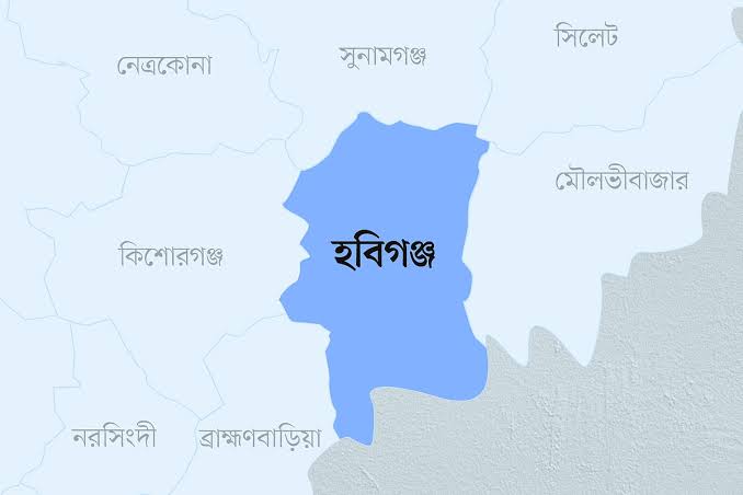 হবিগঞ্জে ধানের শীষ ও দাঁড়িপাল্লার চার সমর্থকের কারাদণ্ড