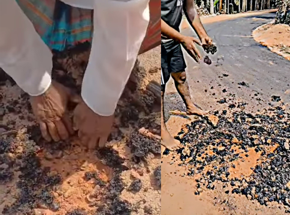 একদিনেই উঠে যাচ্ছে সড়কের পিচ: মেহেন্দিগঞ্জে এলজিইডি প্রকল্পে ভয়াবহ অনিয়মের অভিযোগ