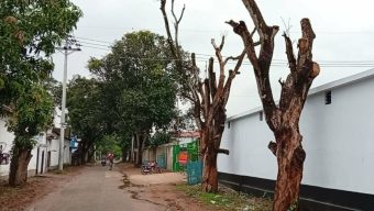 নওগাঁর মহাদেবপুর উপজেলা ধুনজইল মোড়ে সরকারি গাছের মাথা কেটে ফেলার ও ফুটেজ মুছে দেওয়ার অভিযোগ