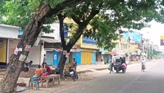 বেনাপোল মহাসড়কে হেলে পড়েছে শিশুগাছ: দুর্ঘটনার শঙ্কা