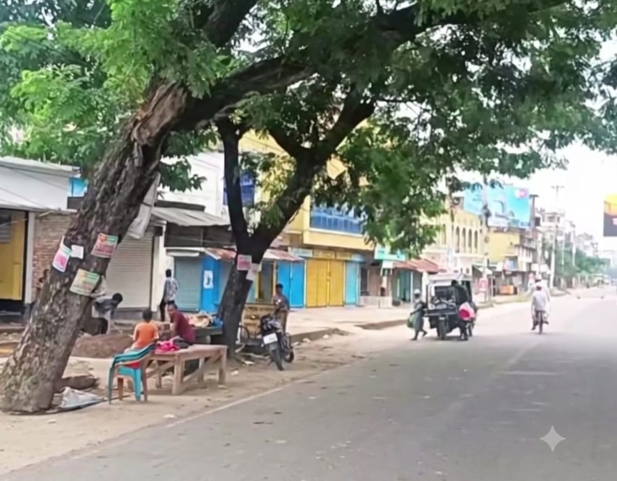 বেনাপোল মহাসড়কে হেলে পড়েছে শিশুগাছ: দুর্ঘটনার শঙ্কা