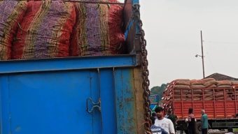 সাড়ে ৮ মাস পর হিলি বন্দর দিয়ে ভারতীয় কাঁচা মরিচ আমদানি শুরু, কমতে শুরু করেছে দাম