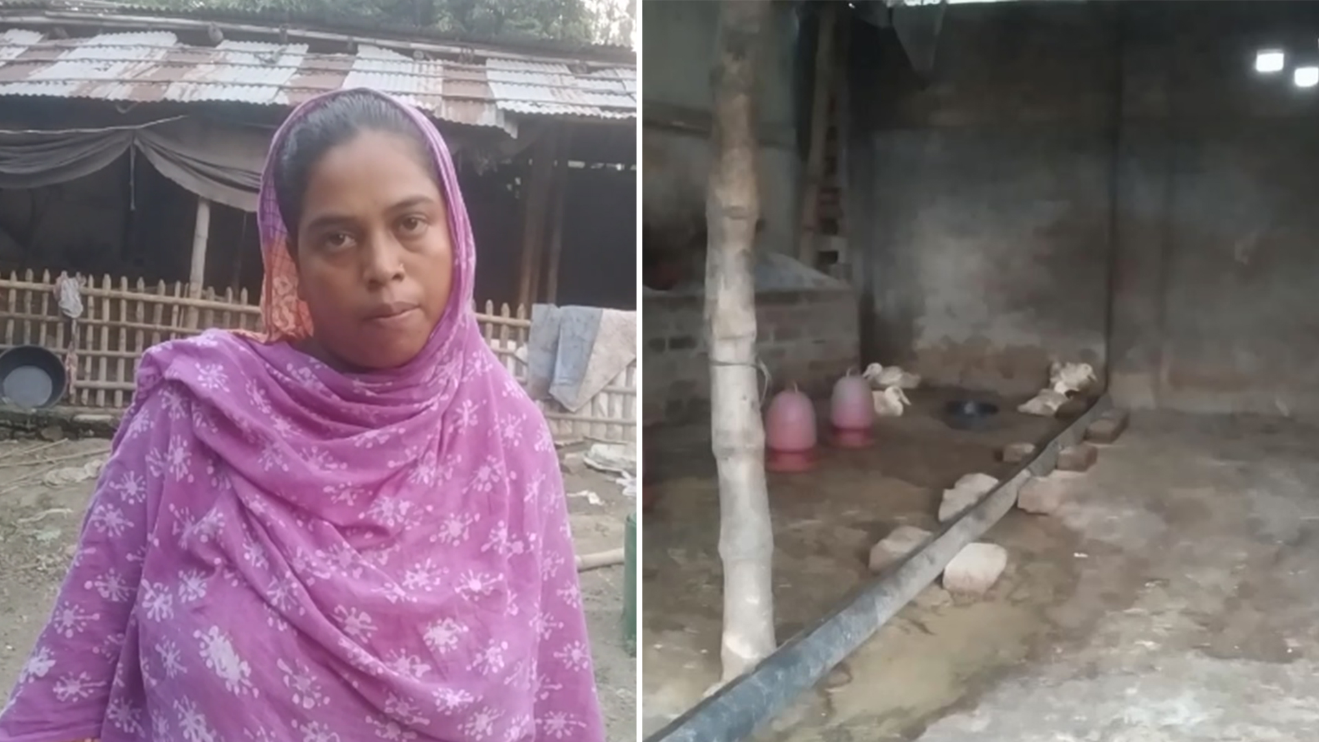 হাঁসের খামার নিয়ে বিরোধে নারী উদ্যোক্তাকে হামলার অভিযোগ