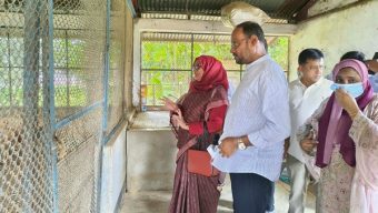 কেন্দ্রীয় মুরগি খামারে বাচ্চা উৎপাদন বাড়ানোর নির্দেশ প্রতিমন্ত্রীর