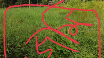 একই দাগের জমি একবার ‘নাল’, আবার ‘বাগানবাড়ি’