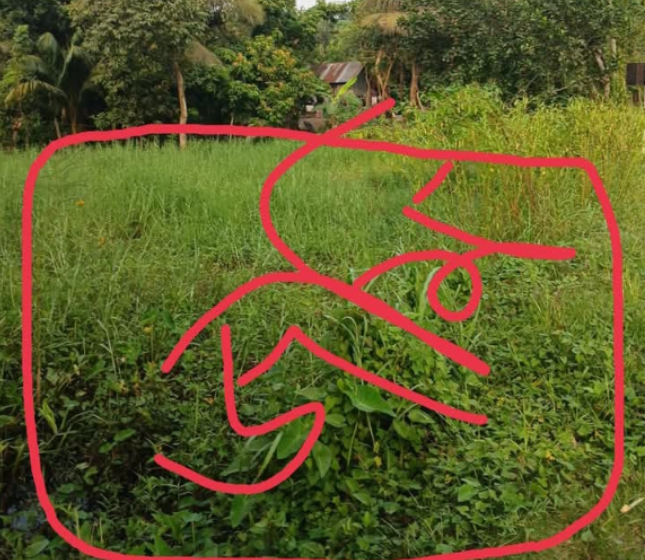 একই দাগের জমি একবার ‘নাল’, আবার ‘বাগানবাড়ি’