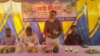 পীরগঞ্জে মাচায় তরমুজ চাষে মাঠ দিবস