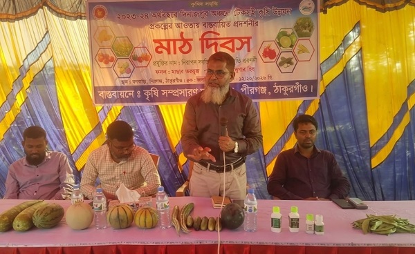 পীরগঞ্জে মাচায় তরমুজ চাষে মাঠ দিবস