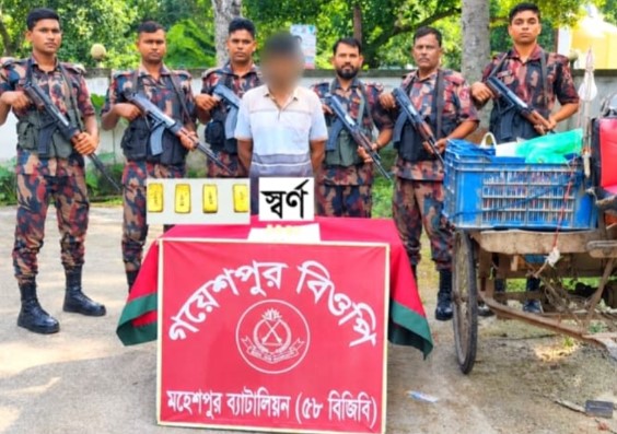 পাচারের সময় চুয়াডাঙ্গায় ১ কোটি টাকার স্বর্ণসহ চোরাকারবারি আটক